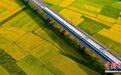 中国高铁里程突破3万公里 居世界第一