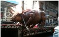伫立华尔街30年，象征“牛市”的铜牛要搬家了！原因却有点尴尬