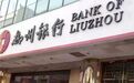 史上最大骗贷案后续：柳州银行2.5亿股拍卖 前董事长曾当街被砍