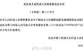 武汉采取最严格防疫措施:不服从疫情管控可采取强制措施