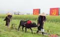 春分习俗知多少?流行“竖蛋”游戏 校对度量衡器具