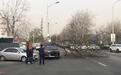 北京一棵大树被疾风连根拔起 砸坏一台奔驰车