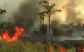 NASA警告亚马逊火灾季条件成熟 专家称毁灭性大火或将出现