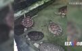 贿赂安检、非法收购,涉案金额达400万!物流公司、海洋馆也牵涉其中
