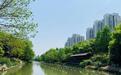 杭州拱墅探索生物治水新路 提标水质打造美丽河湖