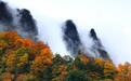 浙江游客可免费游四川光雾山:赏满山红叶 享沉浸夜游