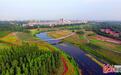 沧州大运河绿色生态廊道明年初步建成
