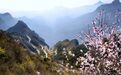 春花、秋月、夏日、冬雪 一起来欣赏太行大峡谷的四季！