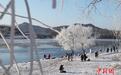 吉林市现2021新年雾凇 松花江岸银装素裹