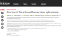 施一公研究组《科学》发文报道世界首个人源次要剪接体的电镜结构