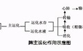 过食肥甘可助湿生痰，家长要注意为孩子饮食把关