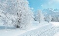 一场白雪悄然而至 一起在青岛欣赏美丽的雪景吧！