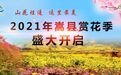 盛大开幕！“山花烂漫 这里最美”2021嵩县赏花季