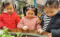 合肥市庐阳实验幼儿园教育集团四里河畔园：亲亲菜地 暖暖幸福