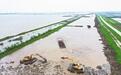 洪湖恢复湖泊湿地9万多亩