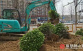 烟台芝罘区对竹林路、祥祯路绿化提升改造