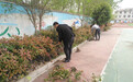 定远县青洛小学党支部党员开展绿化校园活动