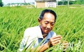“杂交水稻之父”走了,留给我们无尽的思念