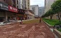 绿化率不达标 永州一小区开发商竟在消防通道上种草皮