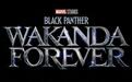 《黑豹2》正式开拍 不会重选演员顶替博斯曼