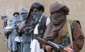 阿富汗安全部队多省采取行动 击毙254名塔利班成员
