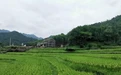 3个好友组团回村建房子，耗时5年，花光1200万：放弃大白墙，改小落地窗