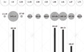 31省份人均公积金排行：14个省份超全国 广东倒数第七