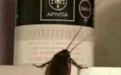 广东最大的蟑螂是机场！为什么我们看什么都像蟑螂？