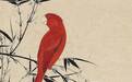 国画里的鹦鹉,真漂亮