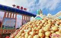 "薯"光无限!全国土豆种植7000万亩 西部占比近九成