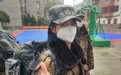 女民兵在抗疫一线绽放青春之花