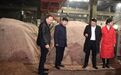 郎酒汪俊林新年首访走进五粮液 双方围绕多个问题进行深入探讨