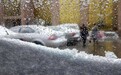 新闻早报:新年以来最大范围雨雪天气来了 英国首相面临下台危机
