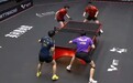 战满五局!“东风蒯递”战胜“莎头”组合进入WTT混双四强