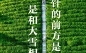 今日立春,你的家乡有哪些独特的立春习俗?|春节故事有奖征集