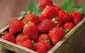 2公斤卖2.5万韩元 韩国草莓价格飙升至“黄金价”?