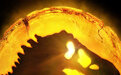 《侏罗纪世界3》发布首支预告片，多种新恐龙亮相