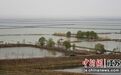 洪泽湖28万余亩养殖塘口完成主养种苗投放