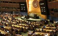 联合国大会通过乌克兰提交的人道问题决议 5国反对中方弃权