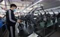 河北省平乡县自行车童车产业发展迈向新层级