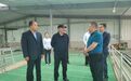 金川集团董事长王永前张掖山丹考察 探县域发展举措