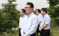 党双忍:加快推进深绿渭南、美丽渭南建设