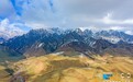 祁連山“夏”雪了 這是一場綠色與白色的熱戀