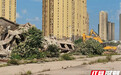 长沙一过期临时建筑被拆除