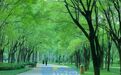 绿树成荫，溪流潺潺，济南森林公园成避暑休闲好去处
