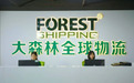 大森林全球物流加入佛山市跨境电子商务协会会员单位