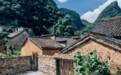 树被风刮倒砸坏邻居屋顶,法院判赔2090元,律师解释原因
