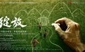 谭维维主演音乐剧《绽放》9月7日北京首演，以张桂梅为原型编创
