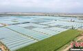 科技“赋能”农田建设 凉州探路设施瓜菜规模化发展
