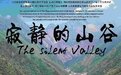 电影《寂静的山谷》今天登陆央视 西北农村有啥变化